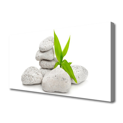 Fotoobraz na płótnie Harmonia Kamieni Rzecznych