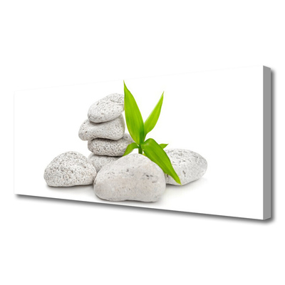 Fotoobraz na płótnie Harmonia Kamieni Rzecznych