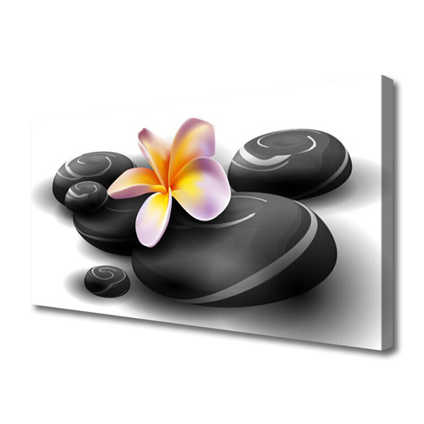 Obraz na płótnie Kwiaty i Kamienie Zen