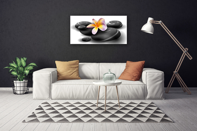 Obraz na płótnie Kwiaty i Kamienie Zen