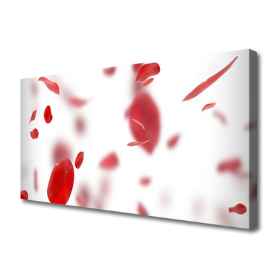 Obraz na płótnie Delikatność Płatków Róży