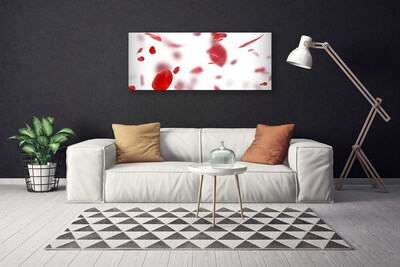 Obraz na płótnie Delikatność Płatków Róży