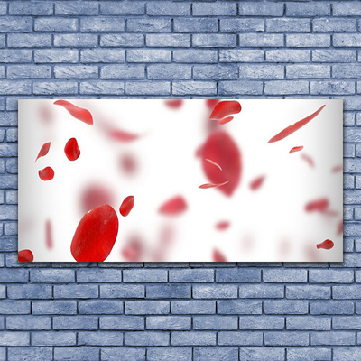 Obraz na płótnie Delikatność Płatków Róży