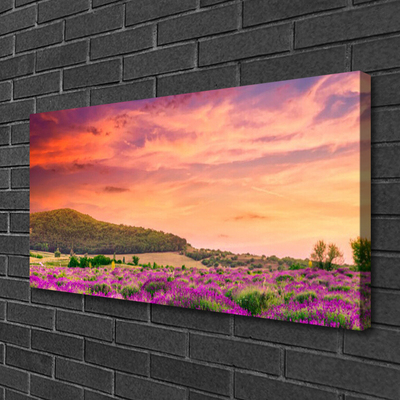 Zdjęcie na płótnie Kolorowa Łąka w Pełni Lata