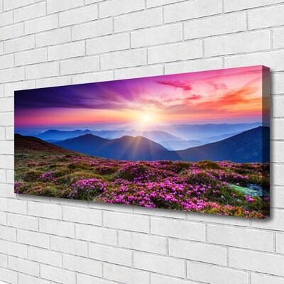 Fotoobraz na płótnie Kwiatowa Polana w Górach