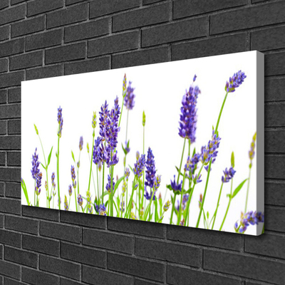 Obraz canvas na ścianę Delikatność Kwiatowych Form