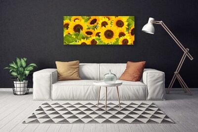 Obraz na Płótnie Roślina Słoneczniki
