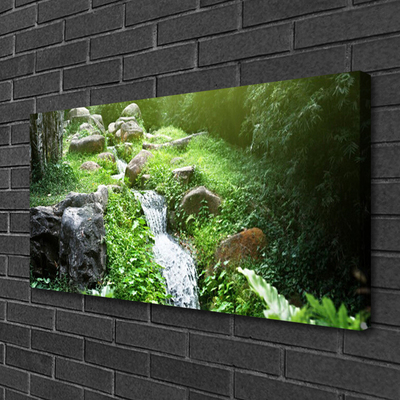 Obraz canvas na ścianę Szumiący Potok wśród Traw