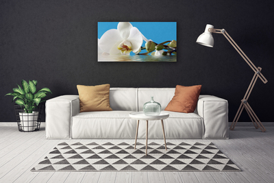 Duży obraz na płótnie Botaniczny Portret Kwiatu