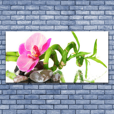 Obraz na płótnie Subtelny Rozkwit Natury