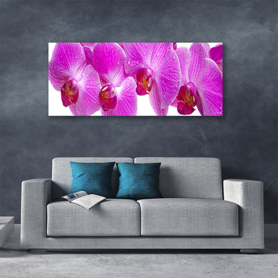 Fotoobraz na płótnie Botaniczny Ogród Kwiatowy