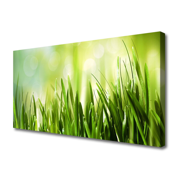 Fotoobraz na płótnie Soczysta Zielona Trawa