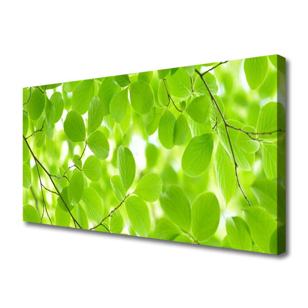 Obraz drukowany na płótnie Organiczne Formy Liści
