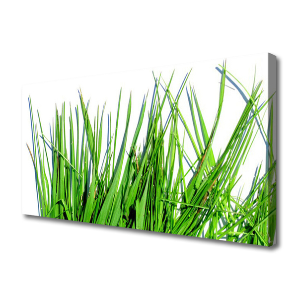 Obraz canvas na ścianę Naturalny Motyw Trawy