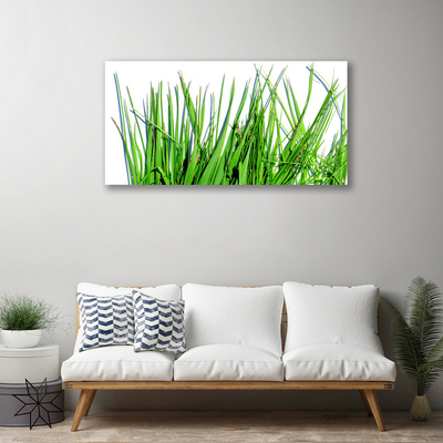 Obraz canvas na ścianę Naturalny Motyw Trawy