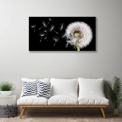 Obraz canvas na ścianę Puszysty Mniszek Lekarski