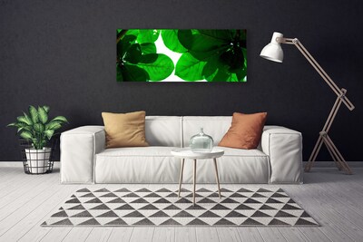 Obraz na płótnie Stylowy Motyw Liści