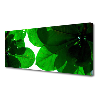 Obraz na płótnie Stylowy Motyw Liści