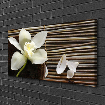 Obraz na płótnie Delikatny Pąk Kwiatu