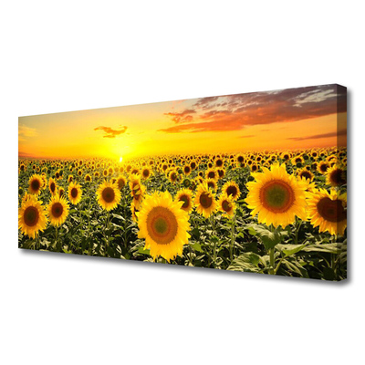 Obraz na płótnie Radosne Pole Słoneczników