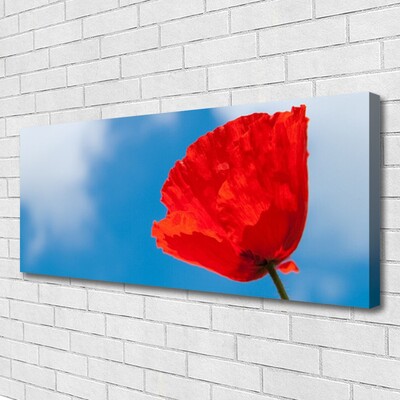 Obraz na płótnie Klasyczna Forma Tulipana