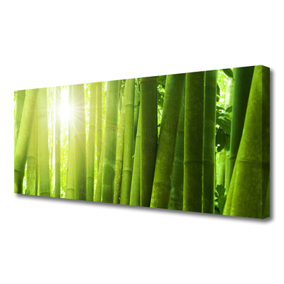 Obraz na Płótnie Bambus Roślina