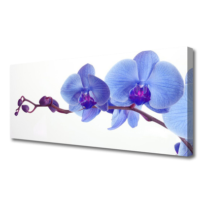 Obraz na płótnie Letnia Kompozycja Kwiatowa