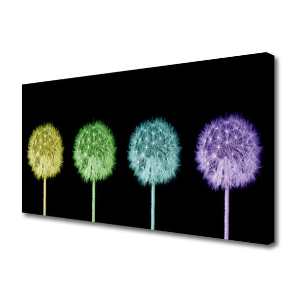 Obraz na płótnie Puszysta Kula Mniszka