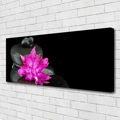 Zdjęcie na płótnie Elegancja Zen: Kwiat i Głazy