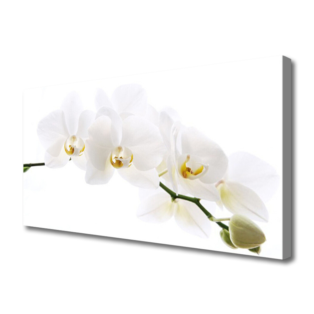 Obraz na Płótnie Kwiaty Orchidea
