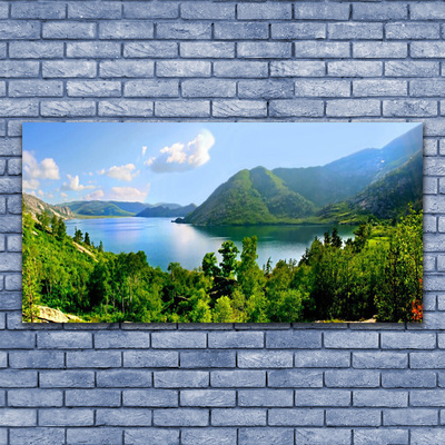 Duży obraz na płótnie Panorama Alpejskiej Natury