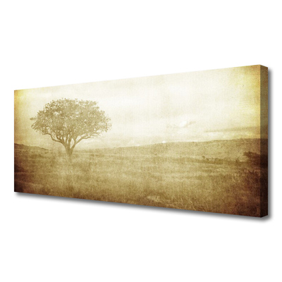 Fotoobraz na płótnie Korona Rozłożystego Drzewa