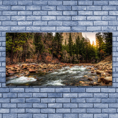 Fotoobraz na płótnie Jezioro w Objęciach Lasu