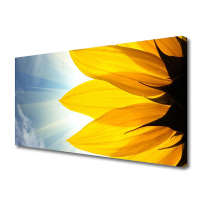 Obraz na płótnie Delikatne Płatki Kwiatowe