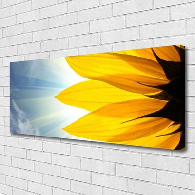 Obraz na płótnie Delikatne Płatki Kwiatowe