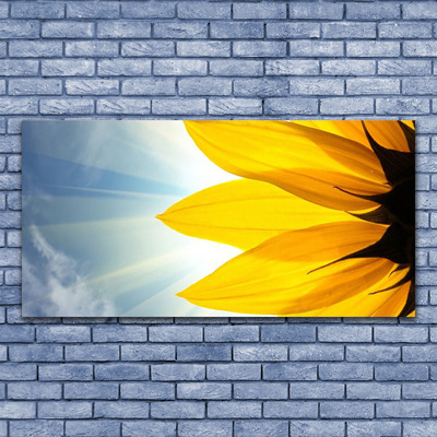 Obraz na płótnie Delikatne Płatki Kwiatowe