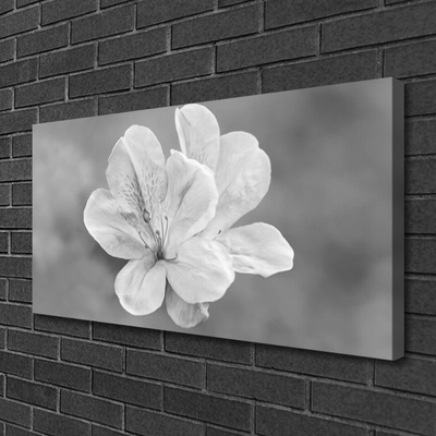 Obraz canvas na ścianę Kolorowy Ogród na Płótnie