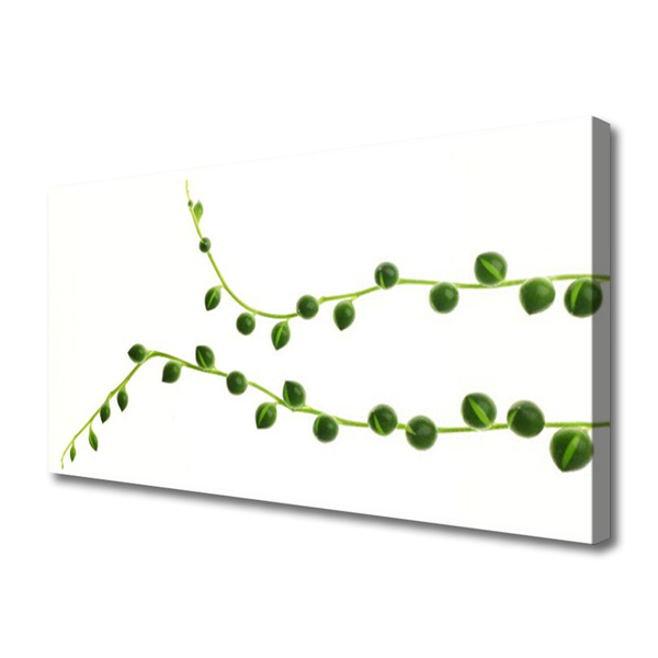 Zdjęcie na płótnie Stylowa Roślina Dekoracyjna