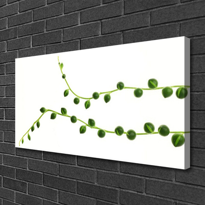 Zdjęcie na płótnie Stylowa Roślina Dekoracyjna