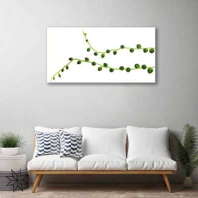 Zdjęcie na płótnie Stylowa Roślina Dekoracyjna