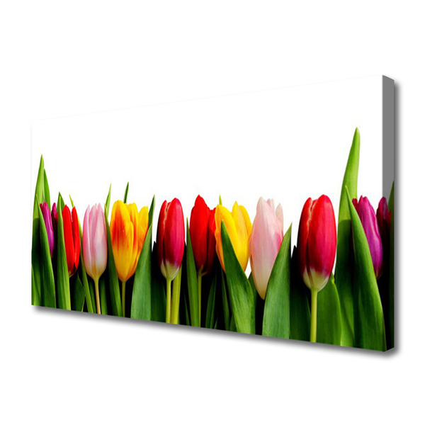 Obraz na Płótnie Tulipany Roślina
