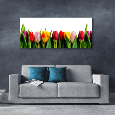 Obraz na Płótnie Tulipany Roślina