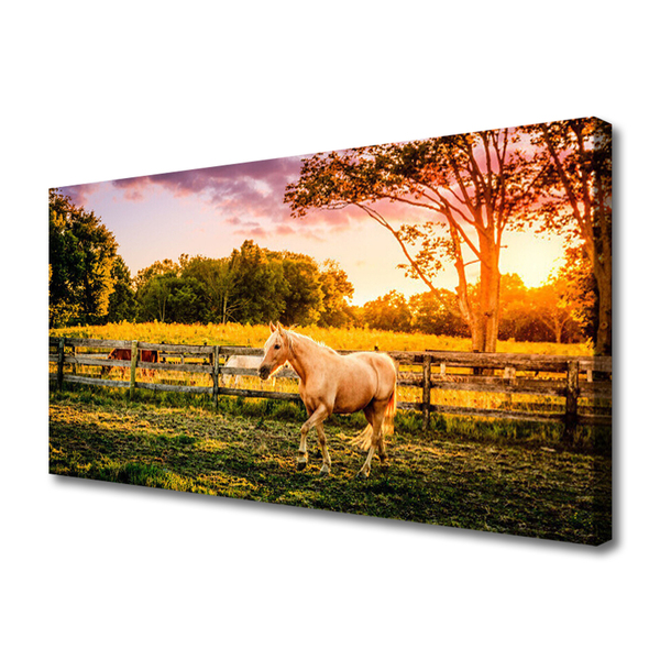 Obraz na płótnie Dzikie Konie na Pastwisku