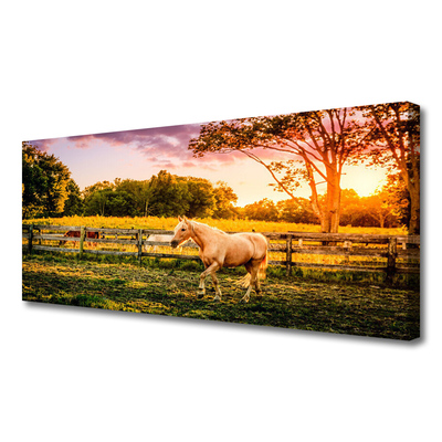 Obraz na płótnie Dzikie Konie na Pastwisku