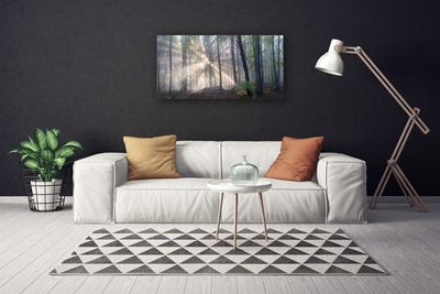 Obraz na płótnie Głusza Starego Lasu