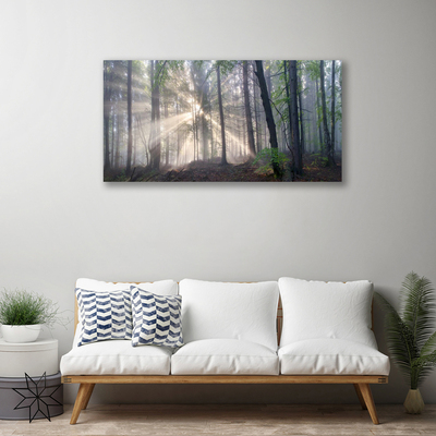 Obraz na płótnie Głusza Starego Lasu