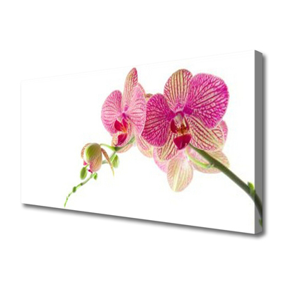 Obraz na płótnie Bukiet Polnych Kwiatów