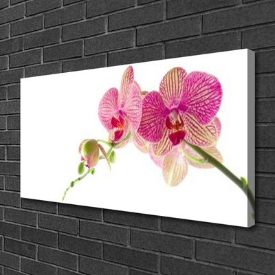 Obraz na płótnie Bukiet Polnych Kwiatów