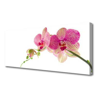 Obraz na płótnie Bukiet Polnych Kwiatów