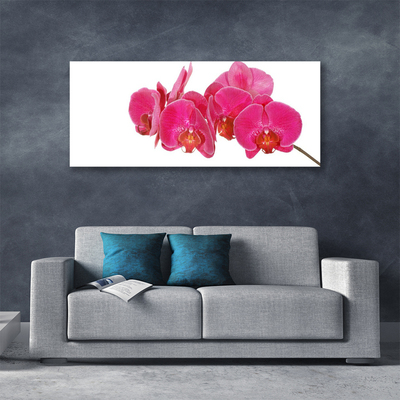 Obraz na płótnie Romantyczna Flora Ogrodowa